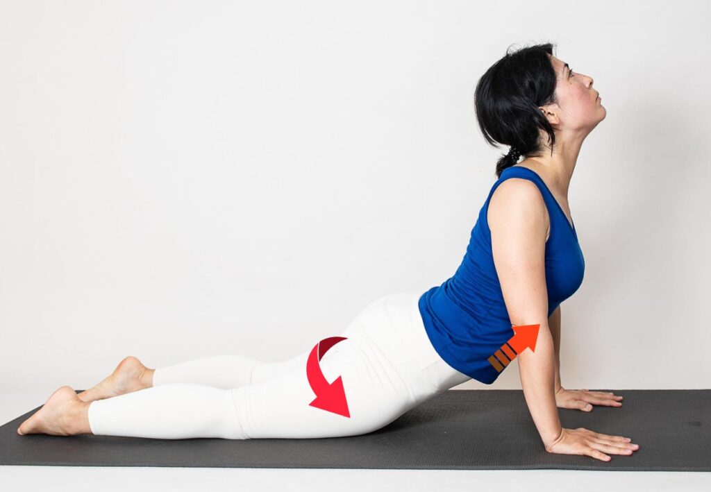 Woman practicing cobra pose with arrows explaining the body movement