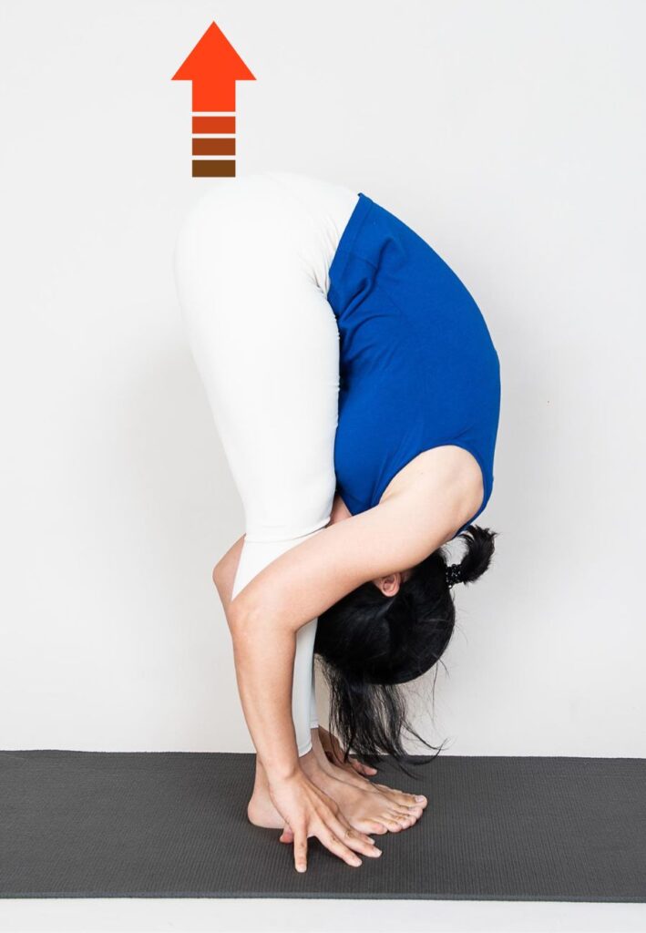 Woman practicing Uttanasana.