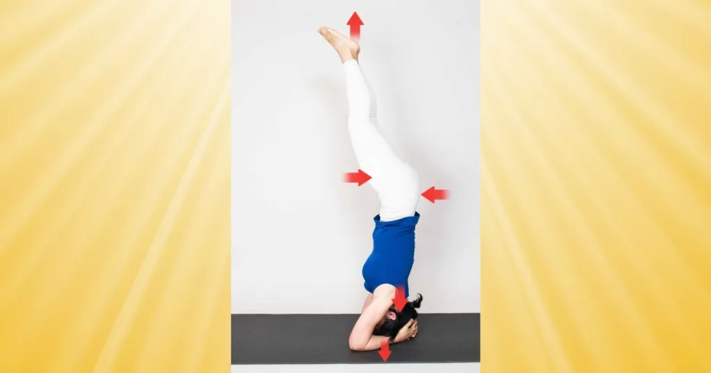 Salamba Sirsasana (headstand) with arrows showing correct alignment.